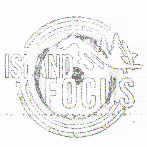 Island Focus Media Logo